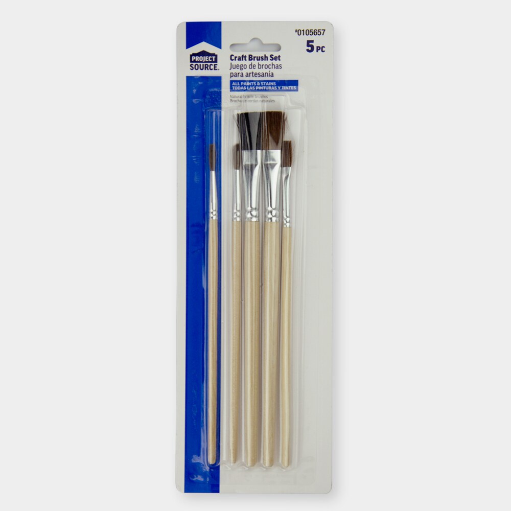 Project Source 5-Pack Black Bristle Multiple Sizes Natural Bristle Round Paint  Brush (Art Brush) in the Paint Brushes department at